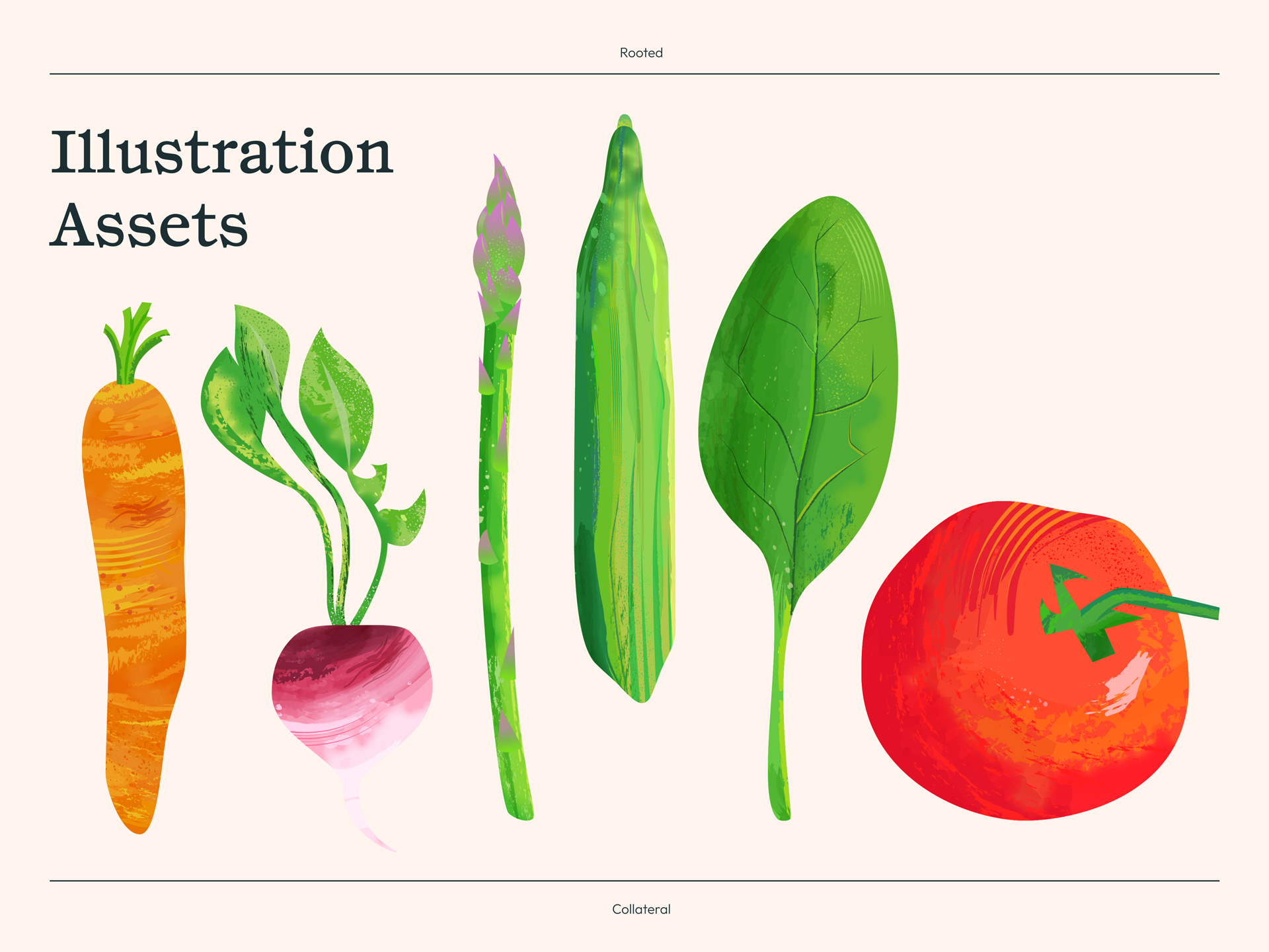 Illustrations used for Rooted collateral.